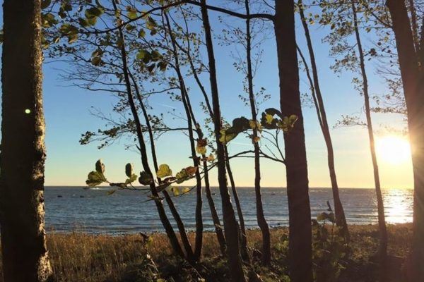 Сестрорецк в октябре, парк «Дубки» и балтийское взморье, фотоотчет